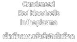 Condensed Red blood cells In the plasma เม็ดเลือดแดงเข้มข้นในน้ำเลือด